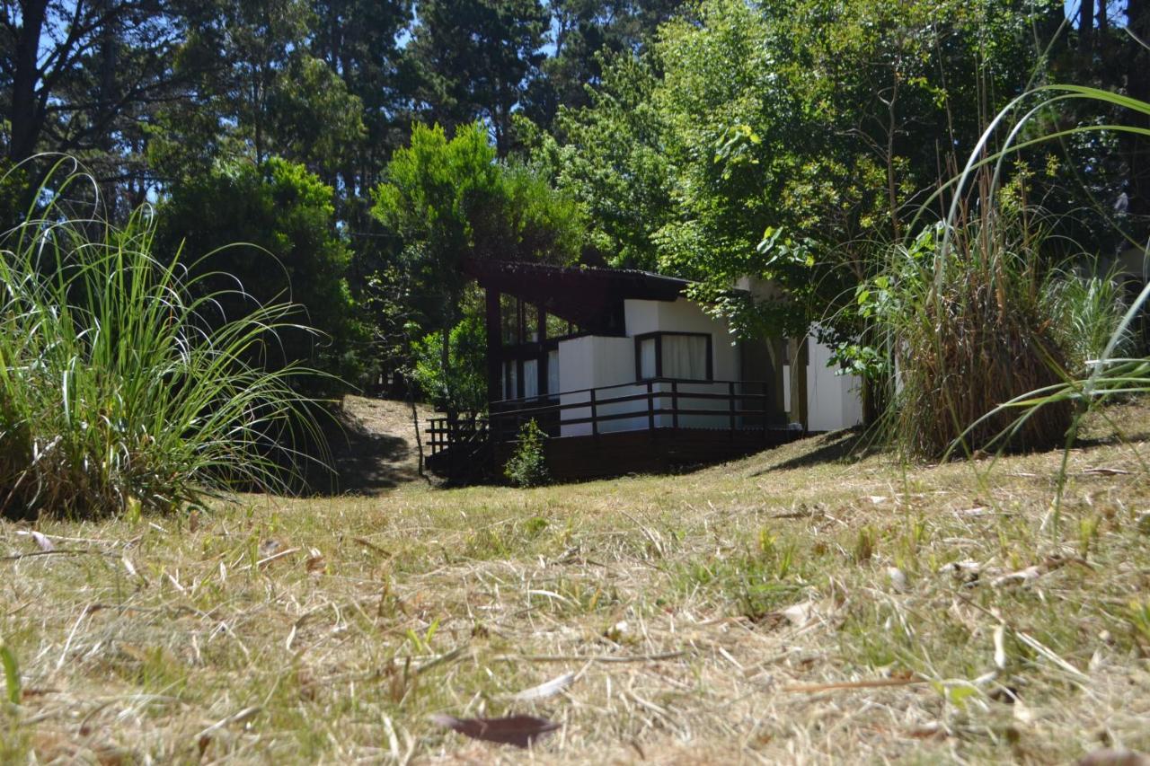 Las Cortaderas Balneario Mar Azul Exterior foto